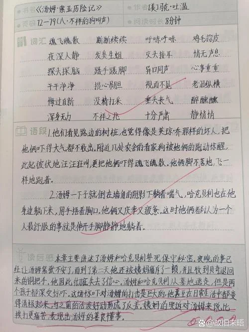 《汤姆·索亚历险记》的读后感_1