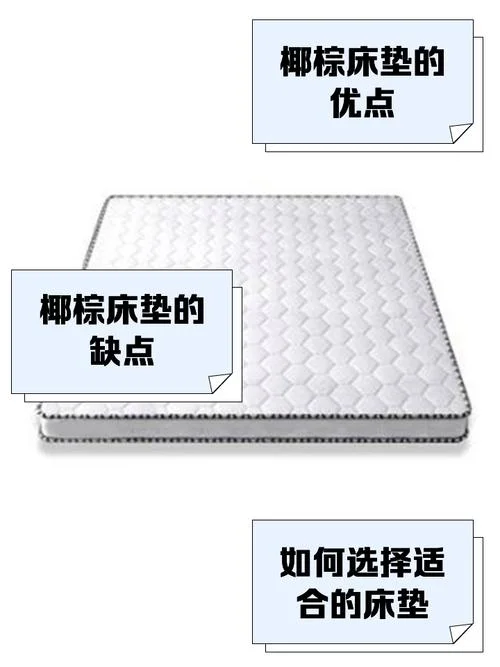 椰棕床垫一般多少钱_1