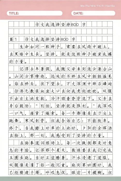 坚持的作文800字议论文_2