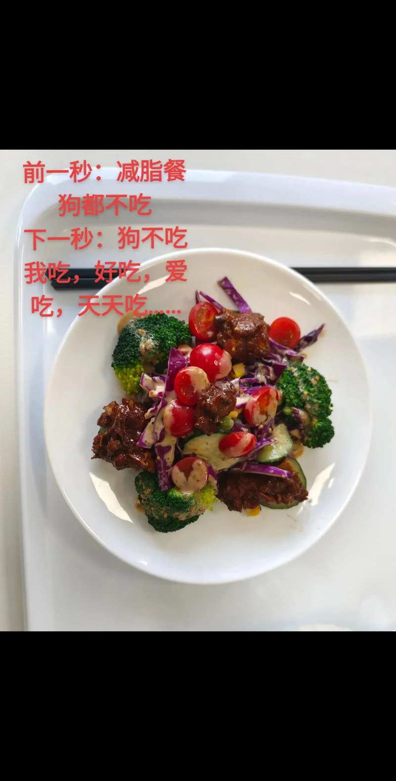 梦见狗不吃东西饿很瘦_1