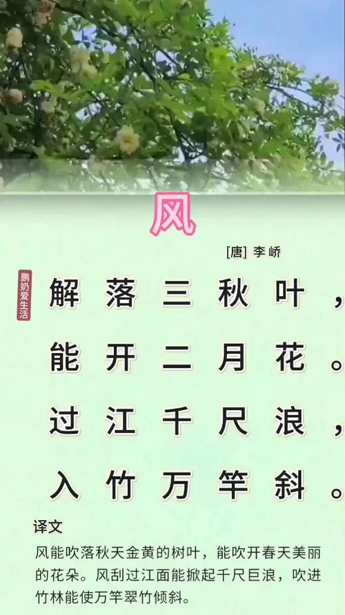 风的作者是谁代诗人_2