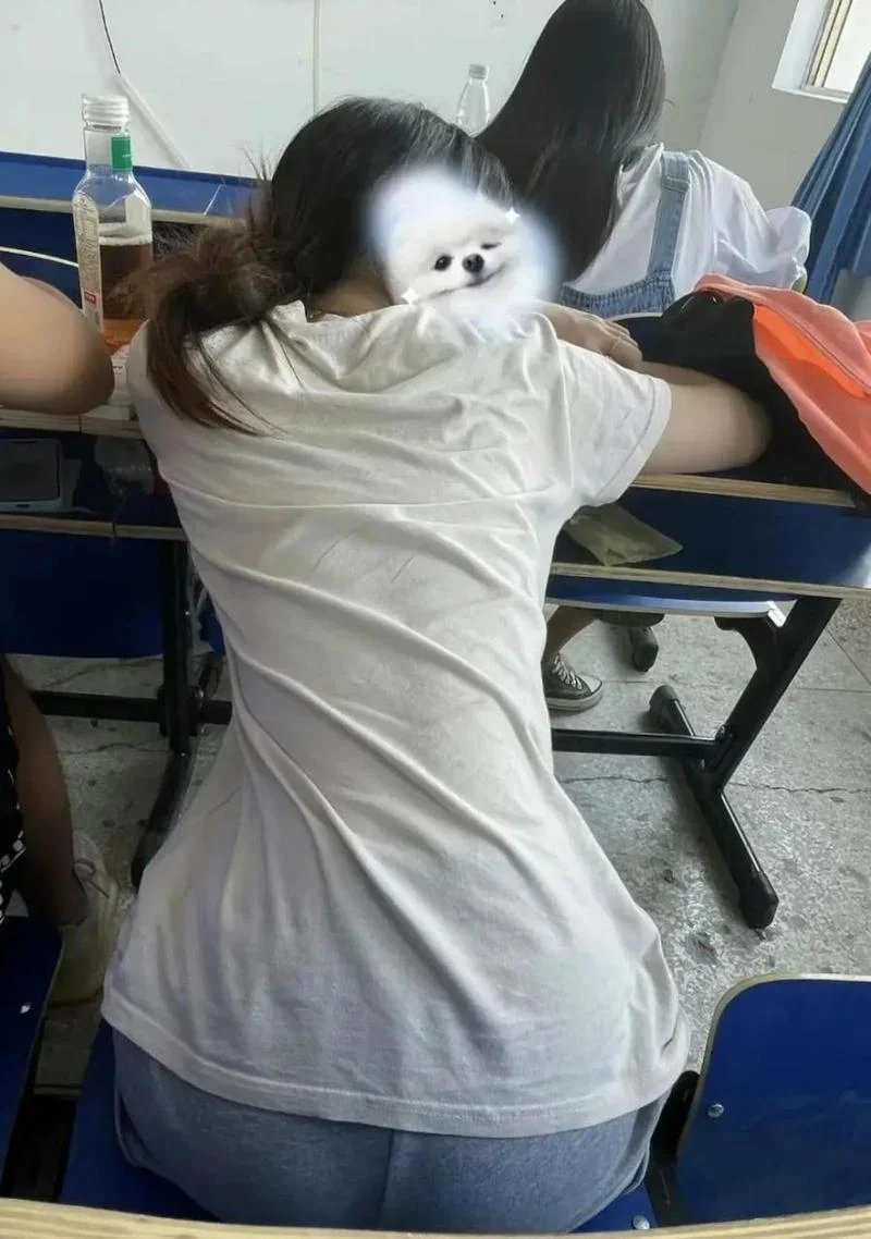 女生梦到初中同学_1