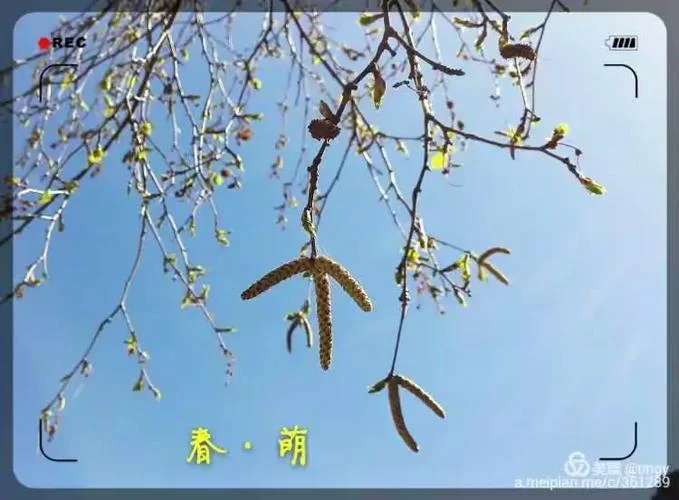 车尘马足贵者趣下一句_2