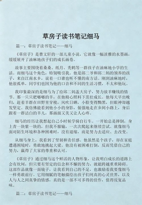 草房子读后感20字-读后感二十字