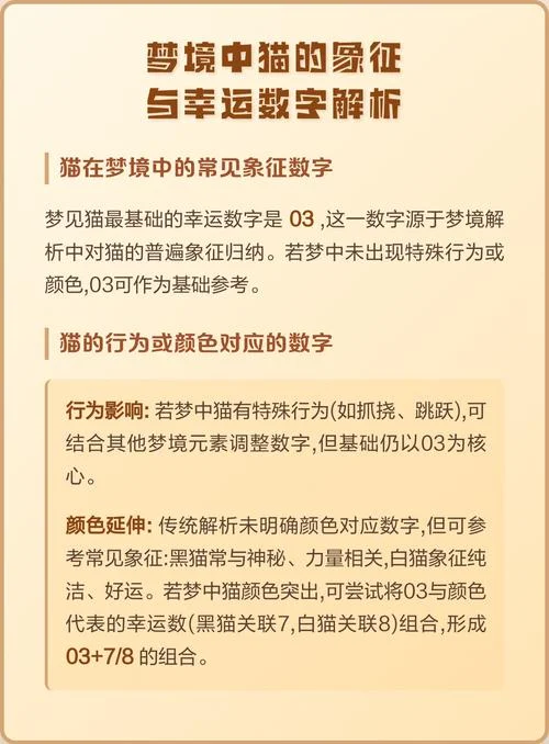 梦见猫有啥讲究_2