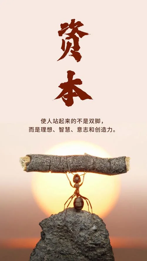 坚定理性信念_2