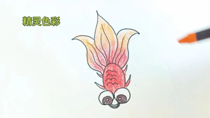 金鱼的简笔画带颜色_2