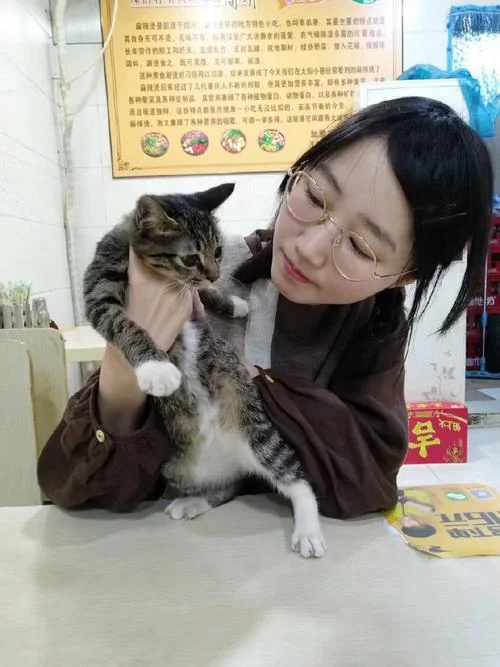 梦到好几只猫是什么征兆 女性_1