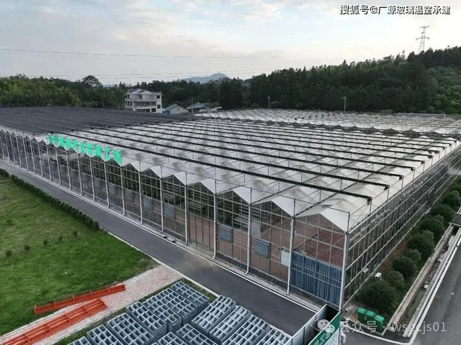 建10亩地智能蔬菜大棚需要多少-建大棚需多少费用