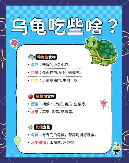 梦见吃乌龟什么预兆_2