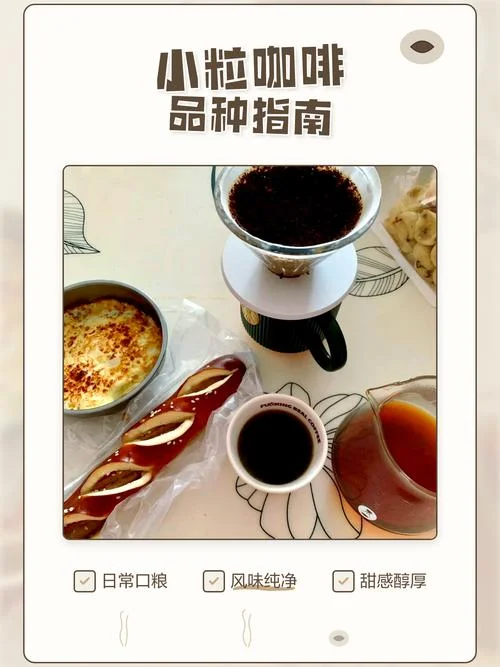 小粒咖啡哪个牌子好-小粒咖啡推荐品牌