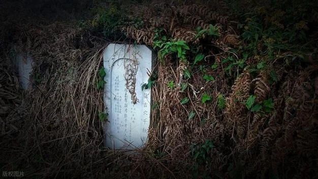 梦见别人的坟墓_2
