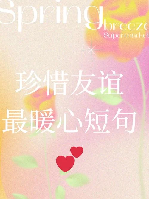 什么是友谊简短视频_1
