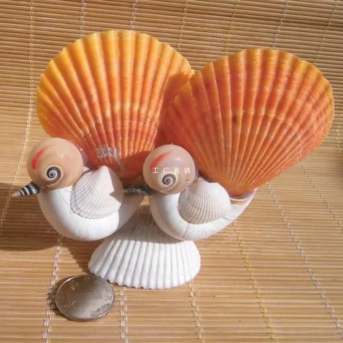 贝壳怎么做工艺品_1