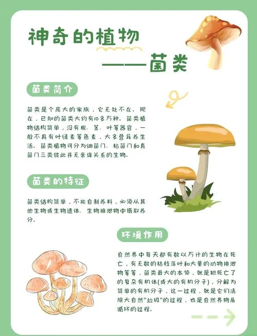 食用菌栽培条件_1