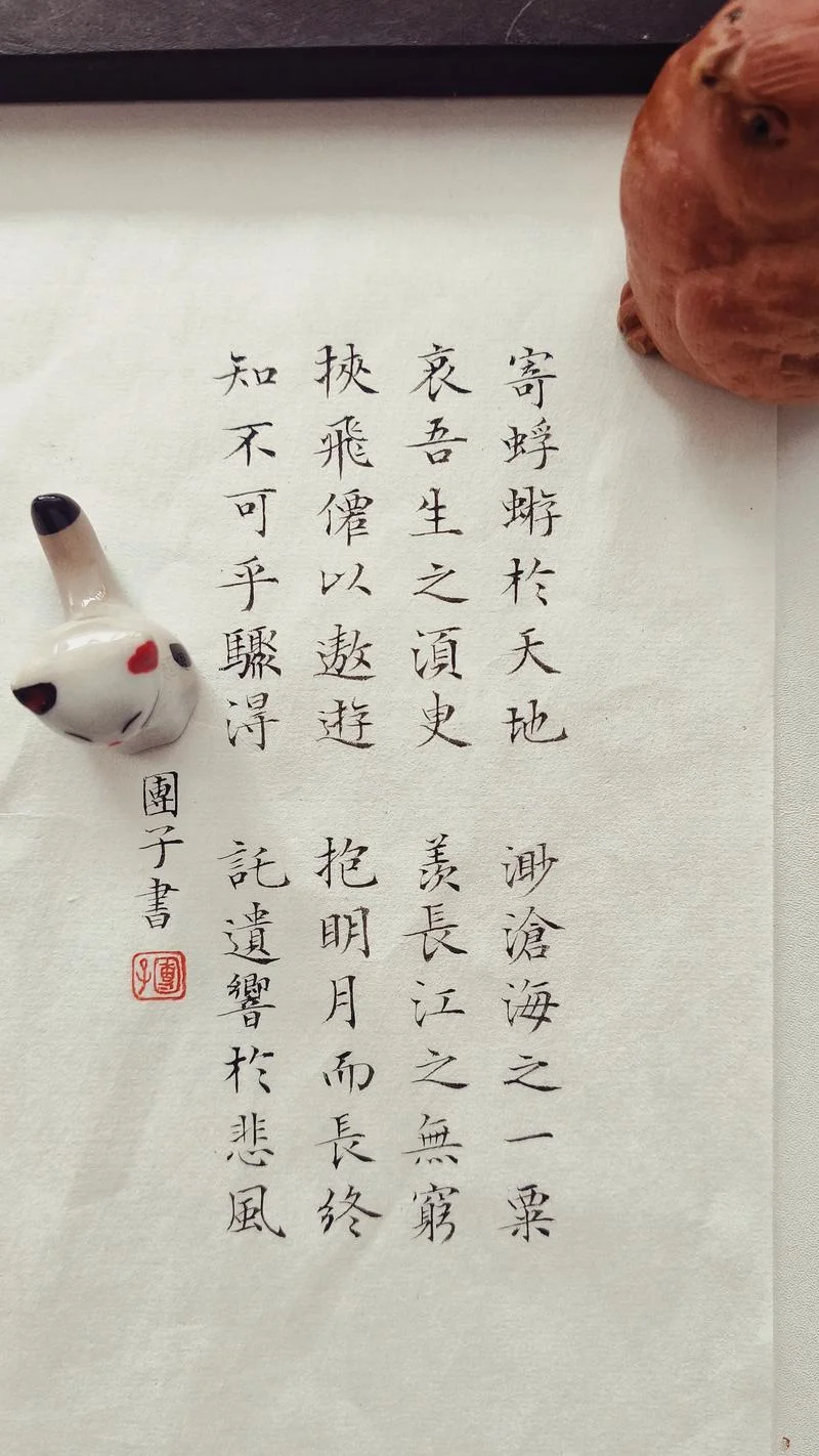 前赤壁赋是谁写的-苏轼《前赤壁赋》