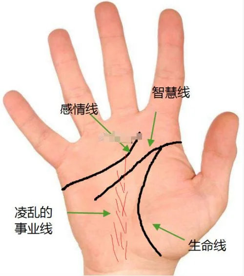 手相事业线副线_1