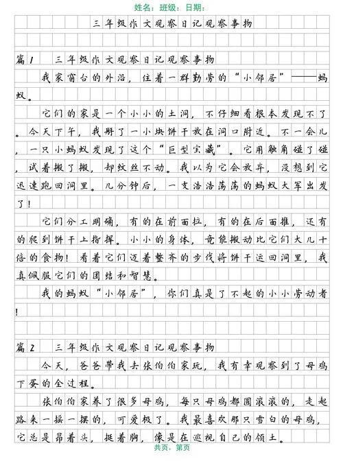三年级写观察的作文_2