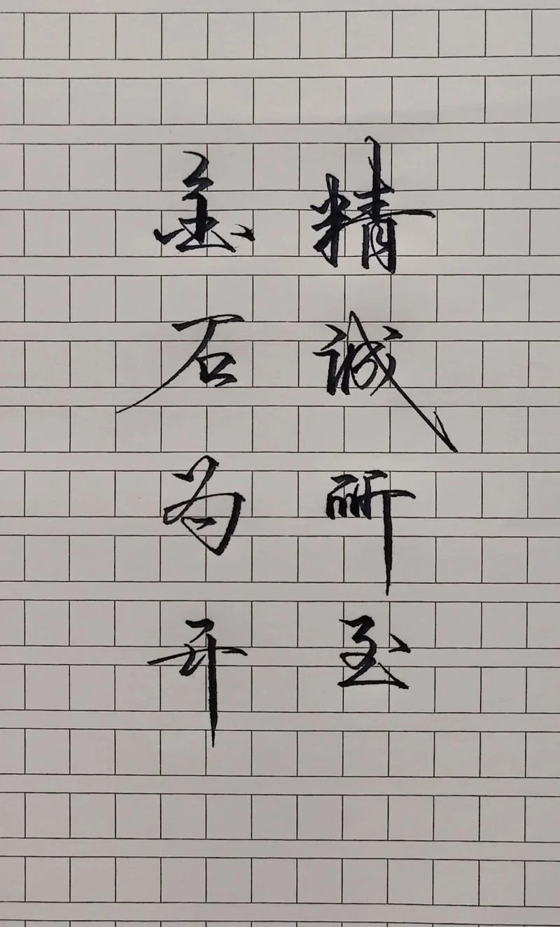 精诚所加下一句是什么_2