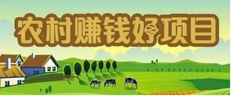新创业致富项目-致富新创业项目
