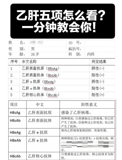 乙肝25阳性什么意思-乙肝表面抗原阳性