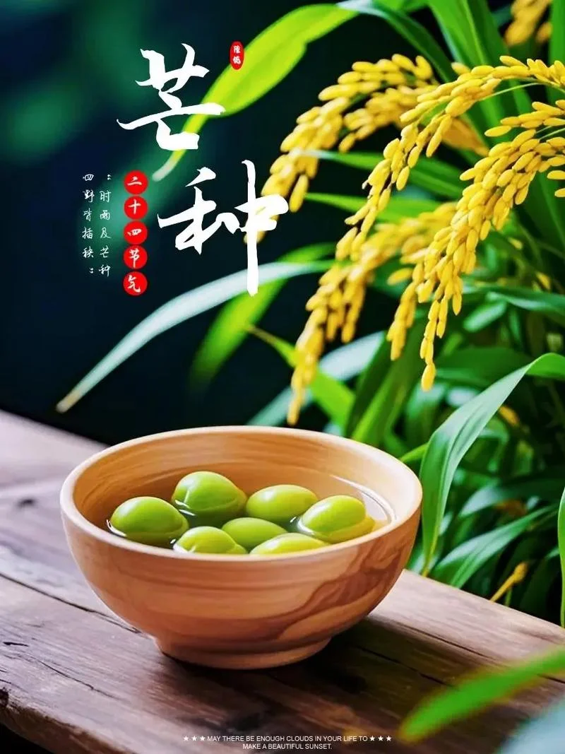 2020芒种是几月几日_1