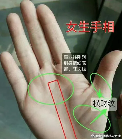 朋友圈看手相只限女性_1