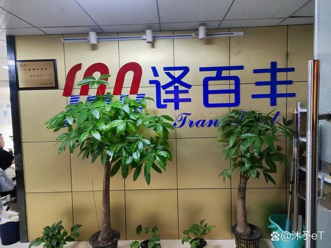 国内翻译公司哪个好-国内翻译公司首选