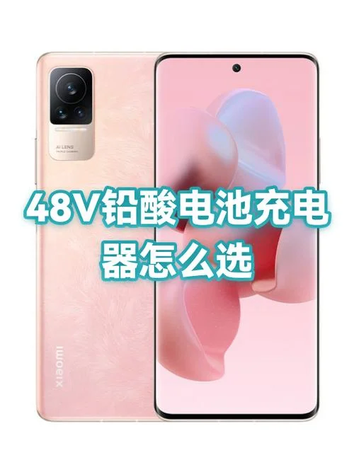 48v快速充电器怎么用-48v充电器使用技巧