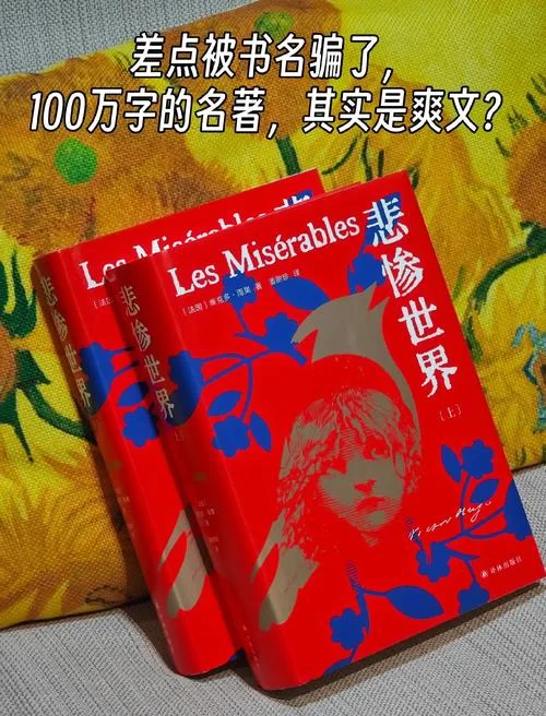 悲惨世界读后感300字左右-悲惨世界读后感