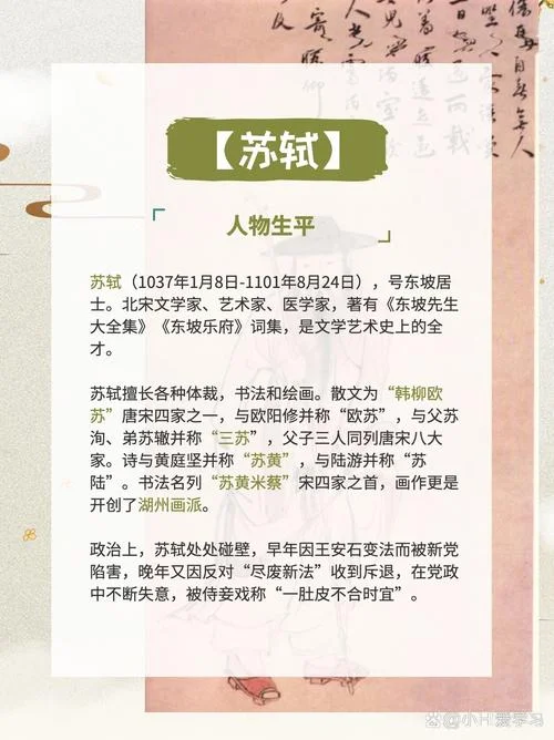 宋朝苏轼简介_1