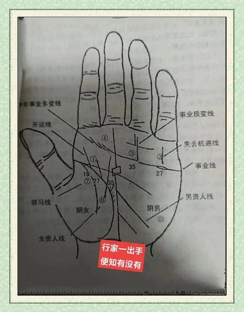 看手相左手右手的区别_2