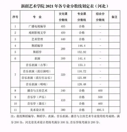 新疆消防协会成绩查询_2