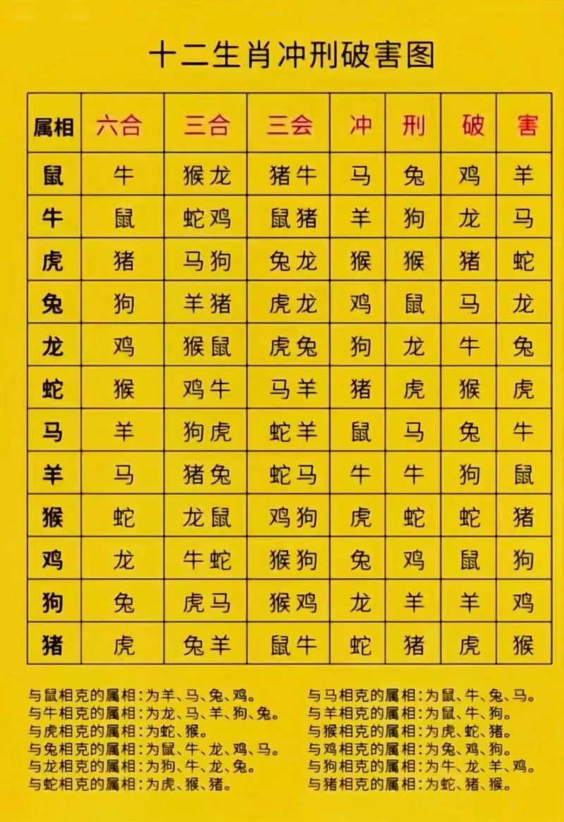 怎样学八字算命入门_1