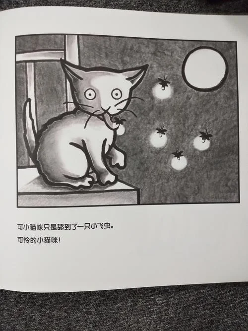 梦到被猫追击_2