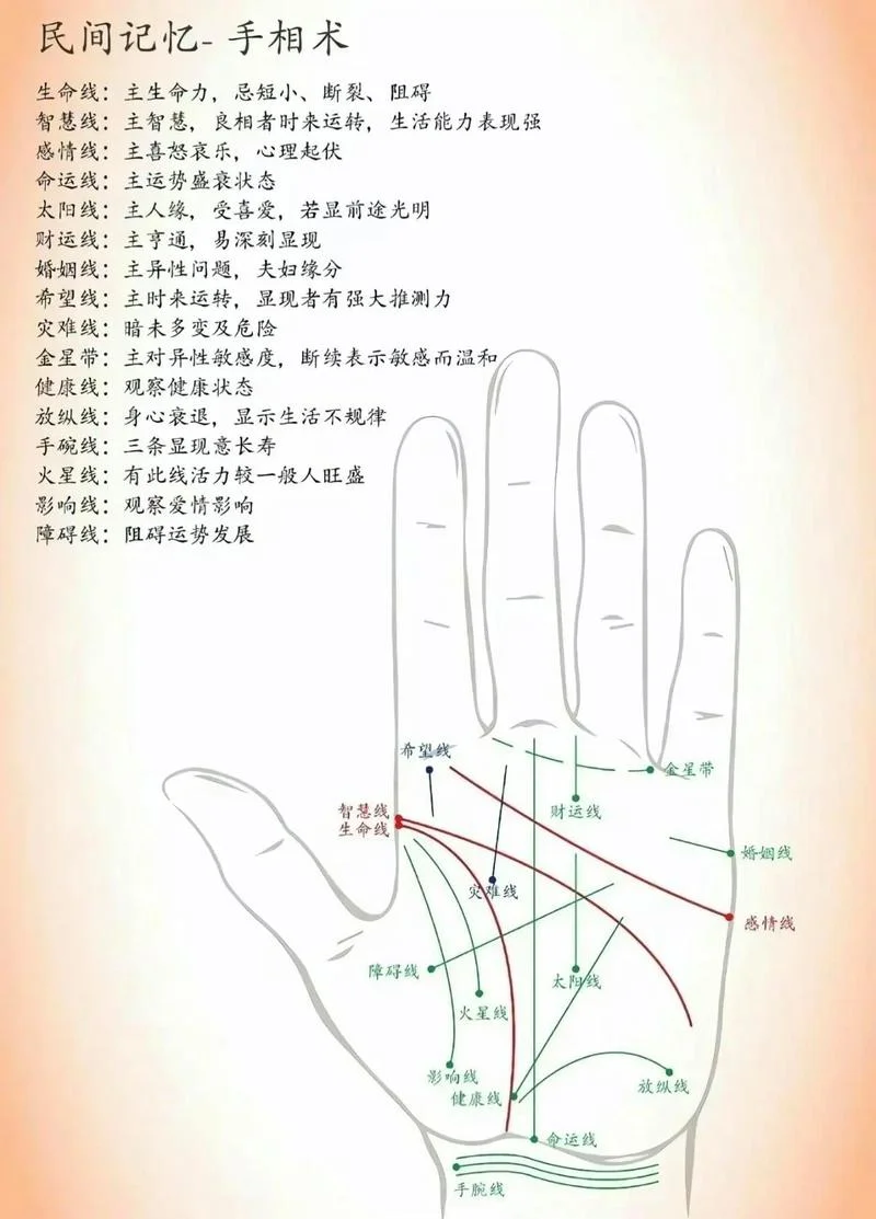 女士看手相是左还是右-女士看手相左右