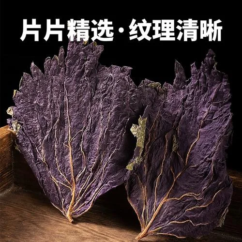 紫苏叶多少钱一斤_1