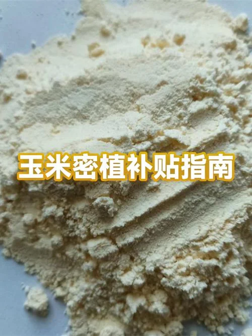 玉米补贴多少钱一亩-玉米补贴每亩多少元