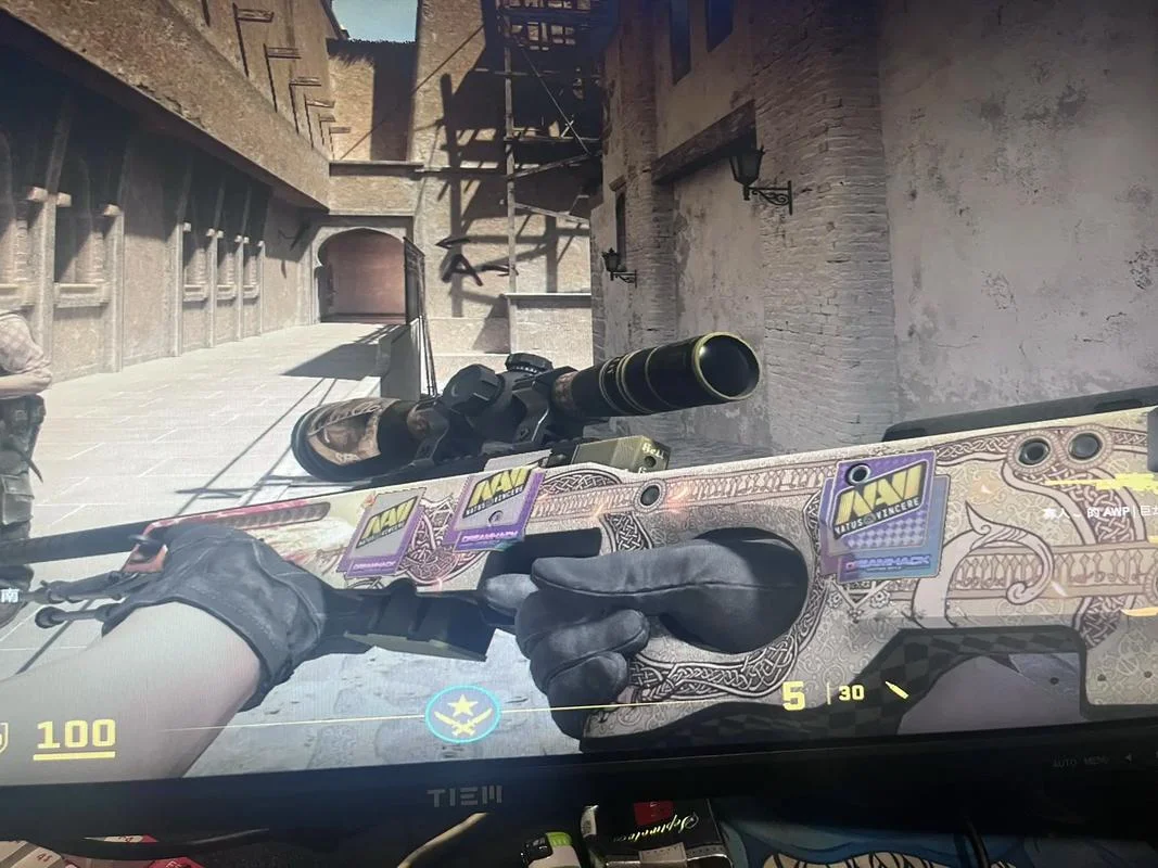 csgo龙狙出处_2