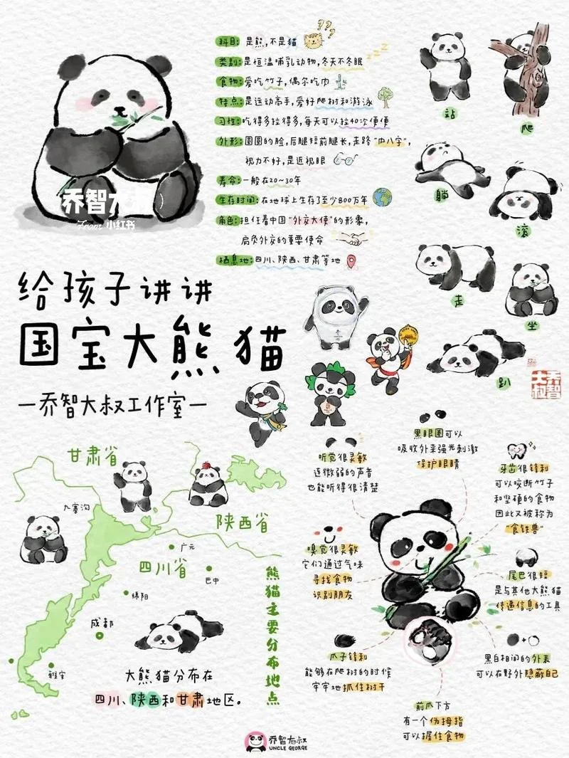 始熊猫介绍_1