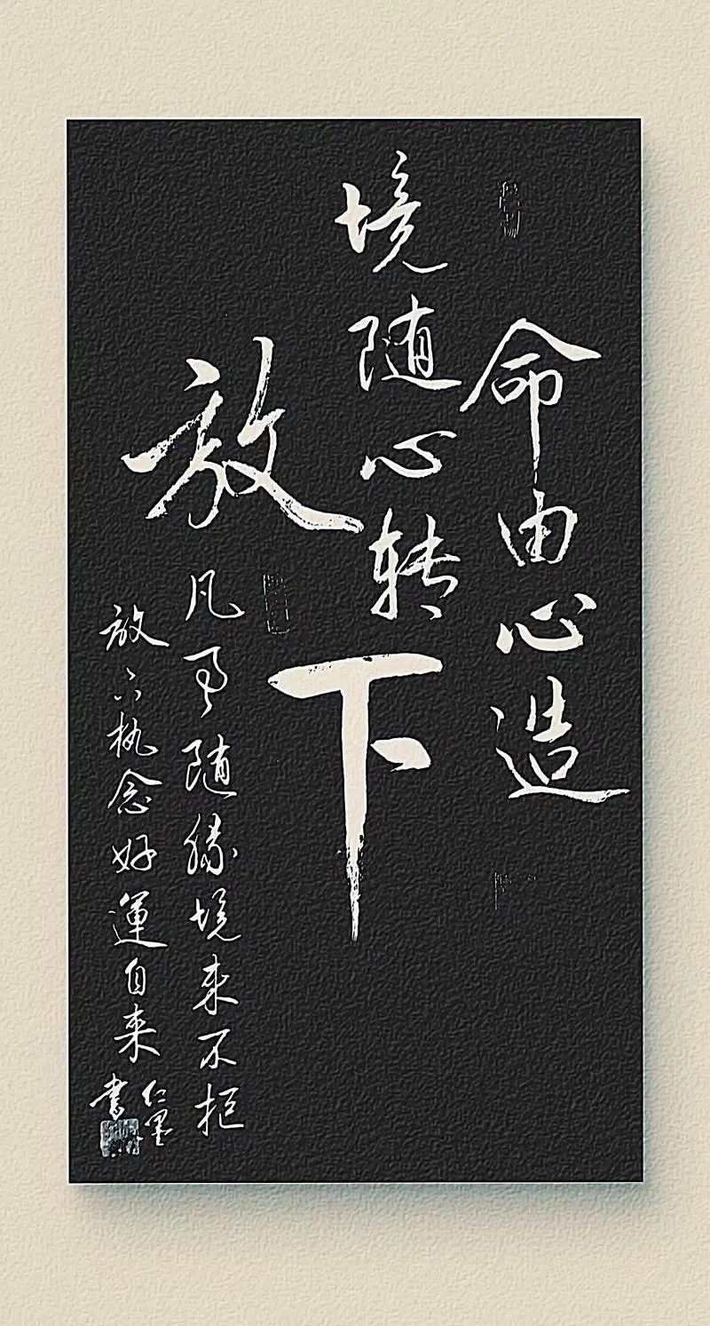 放命是什么意思_2