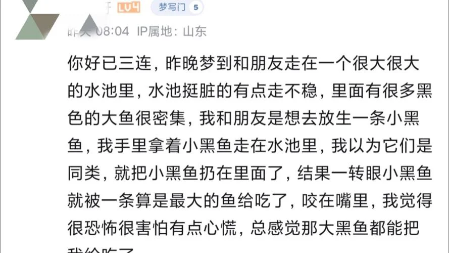 做梦抓鱼没抓到_2