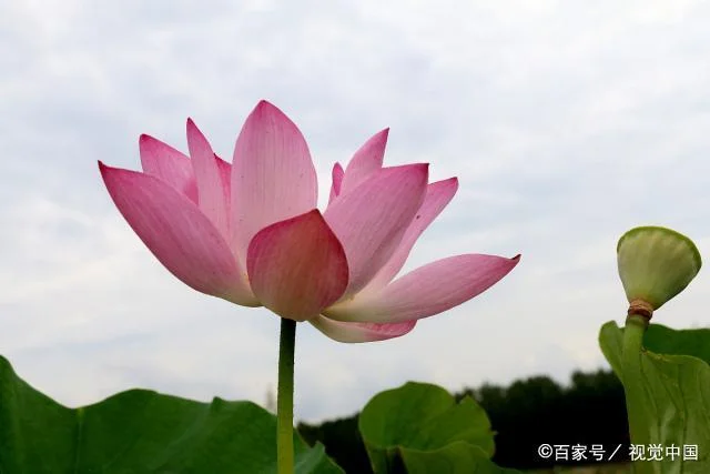 十界梦见-十界梦境