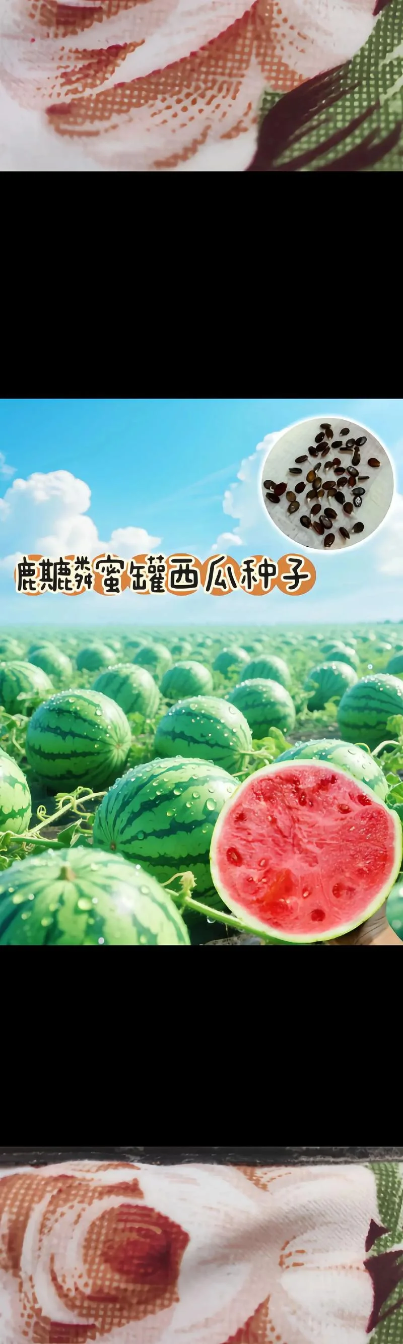 西瓜的拼音怎么写的-西瓜拼音是 xī guā