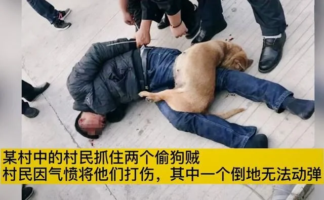梦到亲手打死狗_2