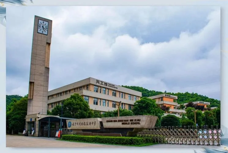 中学教育_2
