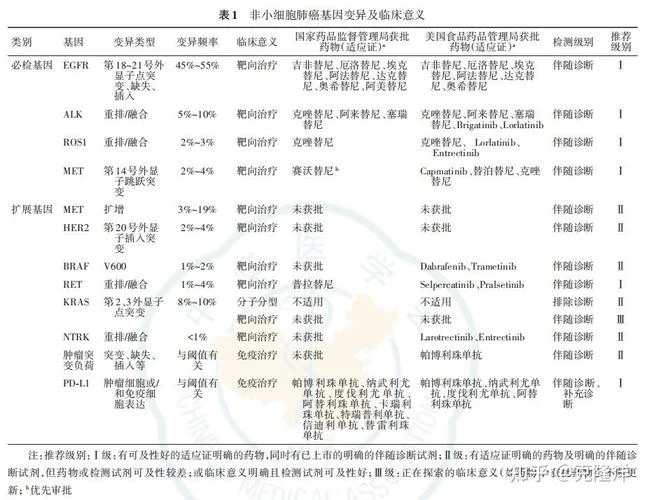 肺癌早期检查项目和费用-肺癌早检费用与项目