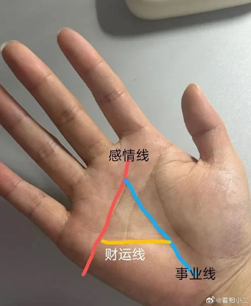 手相财运怎么看_2