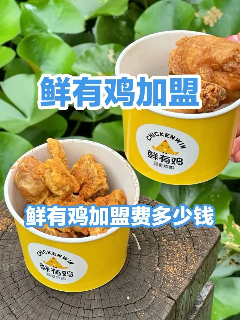 加盟费多少钱_1