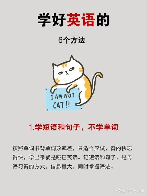 怎么学英语呢-如何学英语